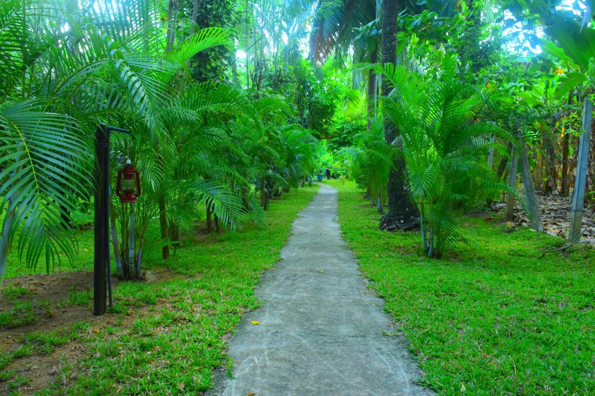 Wild Lake Side Udawalawe Ngoại thất bức ảnh